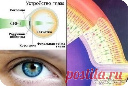 Новости