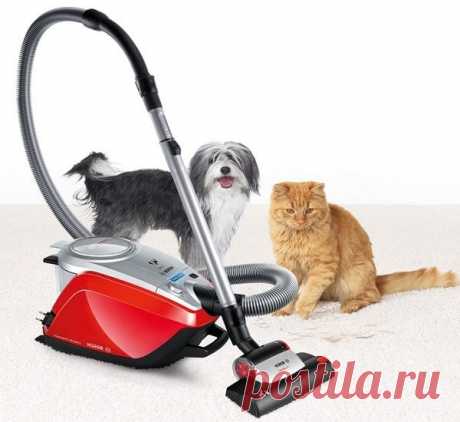 Пылесос выбирать нужно тщательно - Сосед-Домосед