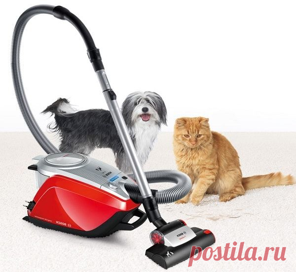 Пылесос выбирать нужно тщательно - Сосед-Домосед