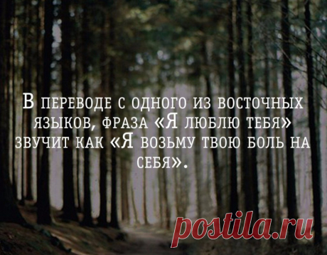В переводе с одного из восточных языков, фраза «Я люблю тебя» звучит так: «Я возьму твою боль на себя» | Мир позитивных новостей