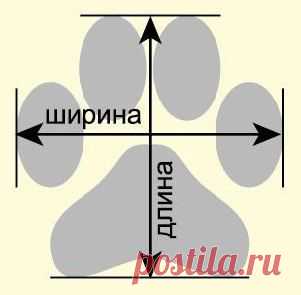 DIY for dog - поделки для собак