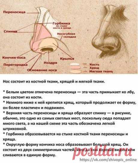 Академия Живописи Онлайн