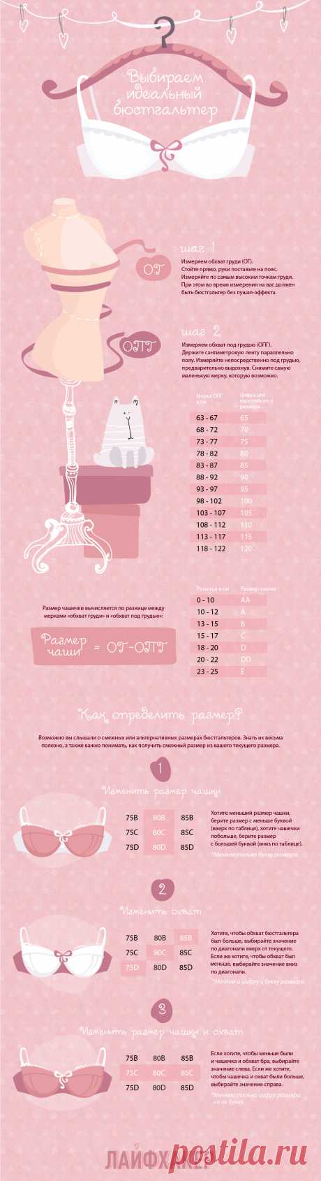 ИНФОГРАФИКА: Как быстро найти правильный размер бюстгальтера с помощью смежных размеров - Лайфхакер