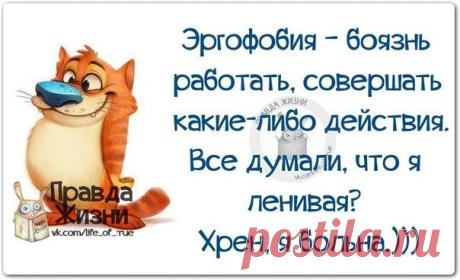 ХА-ХАтунчики))