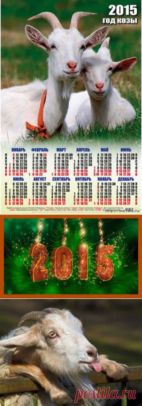 Как встретить Новый год 2015?