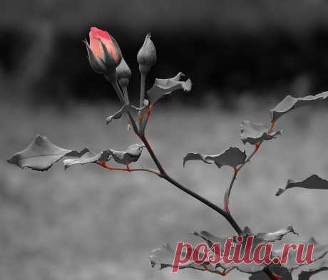 Мы всё отлично понимаем, но это нам нисколько не мешает...