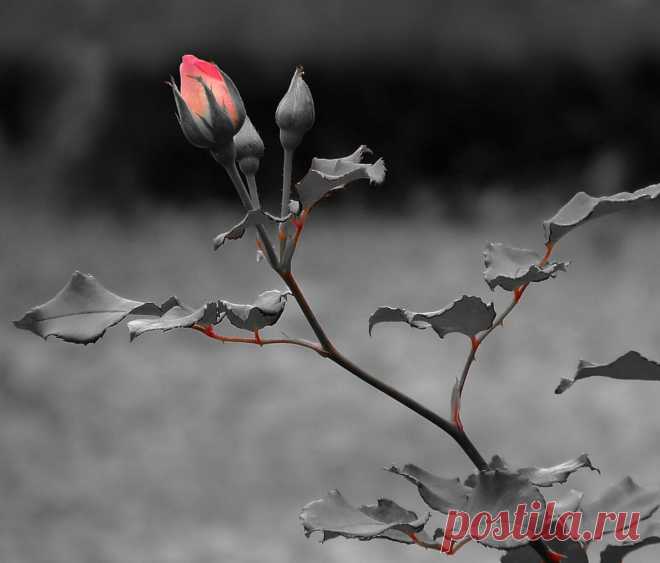 Мы всё отлично понимаем, но это нам нисколько не мешает...