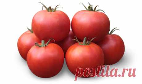 Томаты Детерминантные, ранние томаты