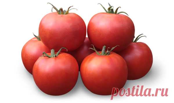 Томаты Детерминантные, ранние томаты