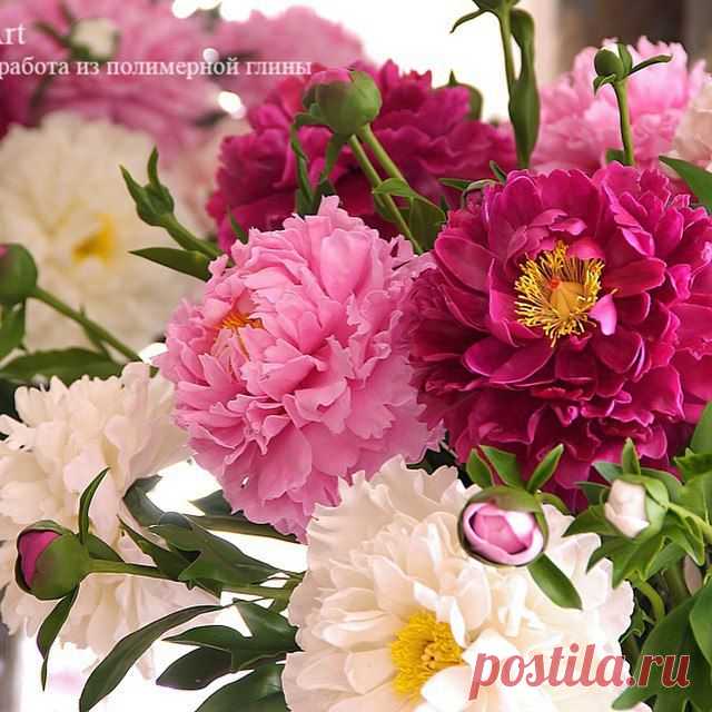oNbVsbLi0Pk.jpg (640×640)