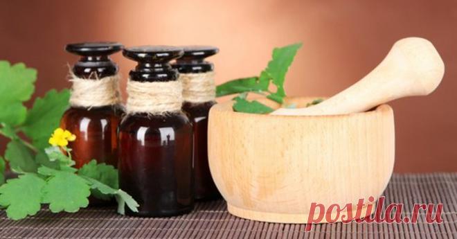 Фантастические способности чистотела! Это невероятно! - Важное
Чистотел обладает противоопухолевым действием, рассасывает рубцы после инфарктови инсультов. (1 столовую ложку на стакан кипятка настаивают ровно 15 минут в термосе). Принимать по 2 столовые ложки 3 раза в день до еды.