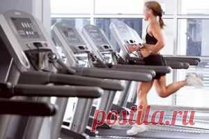 Кардиотренировка | Sport My Way | Sport - My Way
