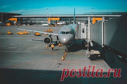 Авиакомпании увеличат количество рейсов по России в два раза. Отечественные авиакомпании планируют в летнем расписании 2023 года увеличить количество рейсов по России в два раза. Уточняется, что количество внутренних рейсов составит более 19 тысяч в неделю. Также планируется увеличение числа международных перелетов — авиакомпании смогут выполнять 3,3 тысячи рейсов в неделю.