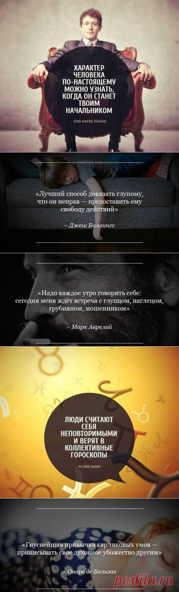 Мудрые цитаты известных людей