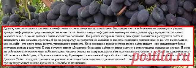 Блог про виноград Киушкина Николая: Обрезка винограда и укрытие на зиму