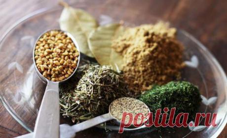 Как используется приправа хмели-сунели :: Употребление и сочетание