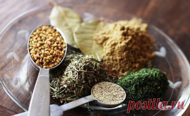 Как используется приправа хмели-сунели :: Употребление и сочетание