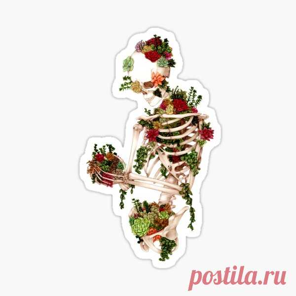 Pegatinas: Cactus | Redbubble