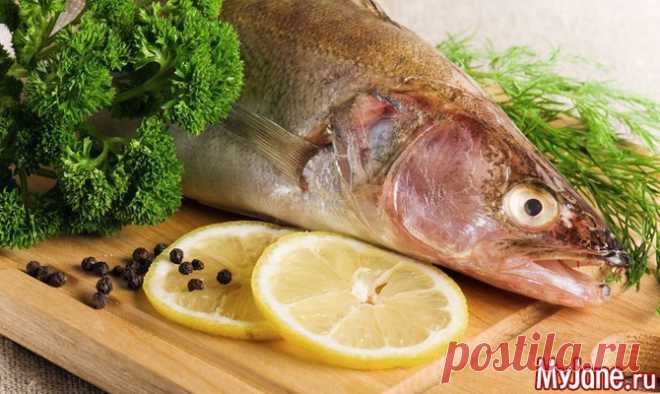 Рыба под соусами - рыба, блюда из рыбы, рыба под соусом, рыба в соусе, соус, соус для рыбы, томатный соус