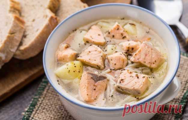 Как правильно варить уху: все хитрости и нюансы — Домашняя кулинария