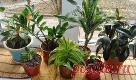 (7) Facebook