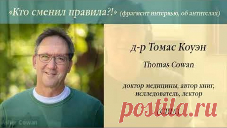 Что такое АНТИТЕЛА на самом деле?