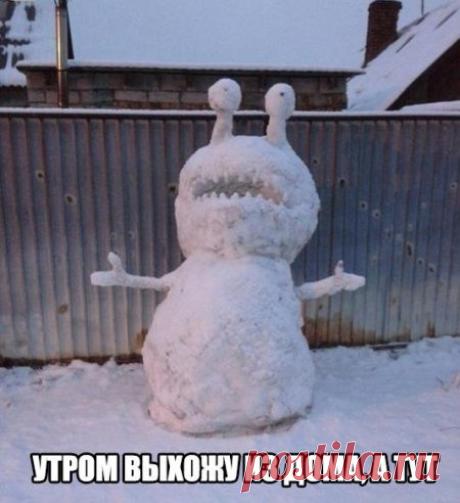 Прикольные фото