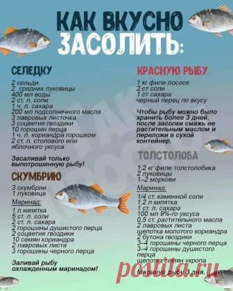 На заметку хозяйкам