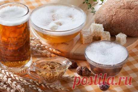 Пивной шампунь своими руками