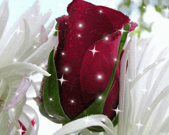 Гостевая книга / Людмила Кравец - В Кругу Друзей — социальная сеть