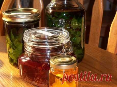 НАСТОЙКИ, КОТОРЫЕ НЕОБХОДИМО ИМЕТЬ В ДОМАШНЕЙ АПТЕЧКЕ

1. Настойка перцовая ( на красном жгучем перце). Применяется наружно, как раздражающее и отвлекающее средство для растирания при невралгиях, радикулитах, миозитах, ишиасе, либо при промерзаниях, кашле, ревматизме, прострелах.

2. Настойка почек березы. 
Применяется внутрь по 15-20 капель в воду при несварении желудка, язве желудка, а так же при водянке, возникшей от воспаления почек, при всяких иных видах почечных стра...