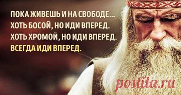 Потрясающе! 104-летний мудрец Андрей Ворон советует, как прожить долгую и счастливую жизнь — Искусство здоровой жизни