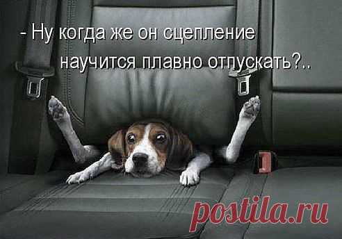 У меня жена намного лучше меня на машине ездит... Я на ручнике и тронуться не могу, а она весь день проездила...))))