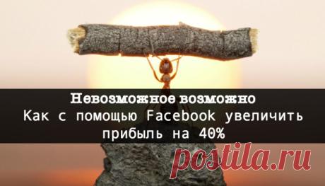 «Невозможное возможно»: как с помощью Facebook увеличить прибыль заказчика на 40% и уже за неделю привлечь новых клиентов - SMM-продажник от Лары и Пронина