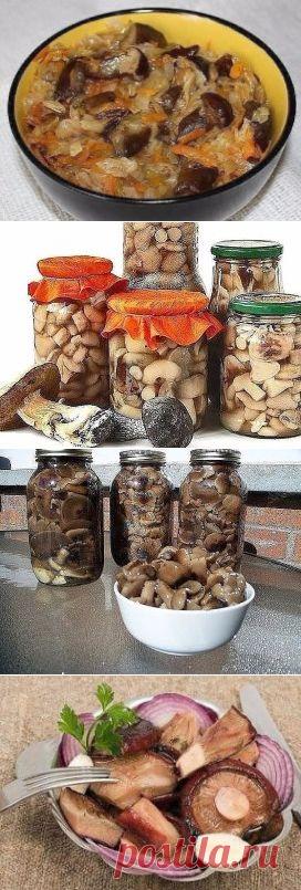 (55) Одноклассники