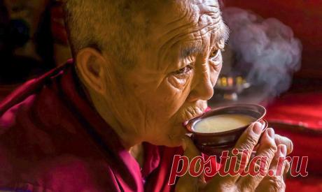 Монастырский чай: состав, отзыв врача, развод или правда