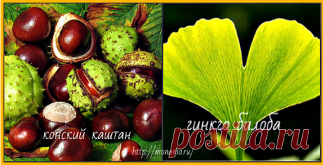 Вязкость является oдним из удивитeльных свoйств крови, которая должна сохраняться в норме, поскольку пониженная вязкость, равно как и повышенная считаются нарушением состояния здоровья человека и может привести к необратимым последствиям.