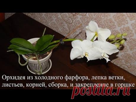 Орхидея из холодного фарфора, лепка бутонов, листьев, корней, сборка ветки, и закрепление в горшке