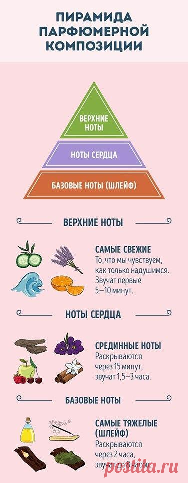 Руководство для тех, кто хочет разбираться в парфюме (9 картинок) » RadioNetPlus.ru развлекательный портал