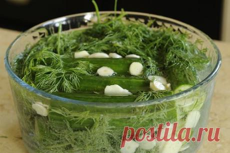 Малосольные огурцы в минералке - Простые рецепты Овкусе.ру