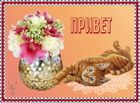 Привет!
