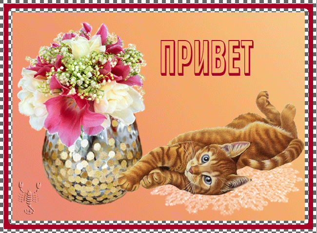 Привет!