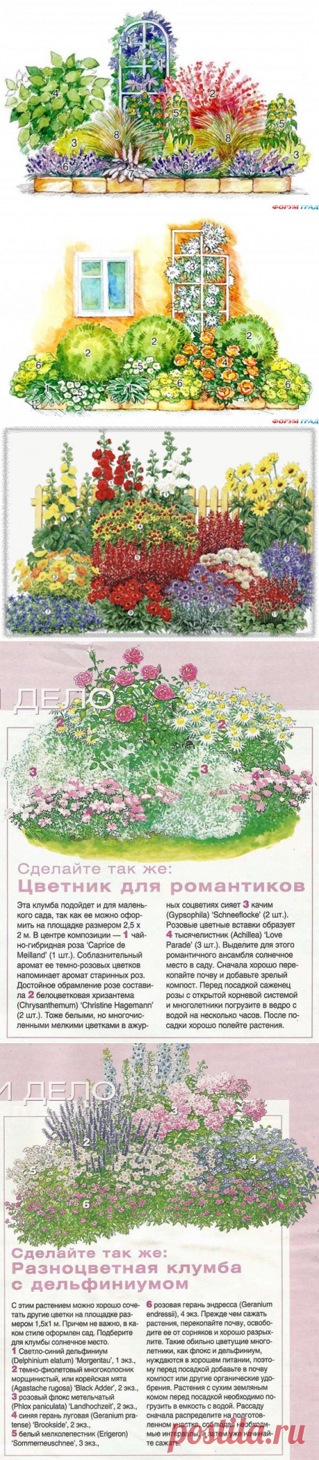 Цветы для сада+схемы цветников.