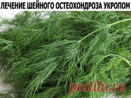 (59) Одноклассники
