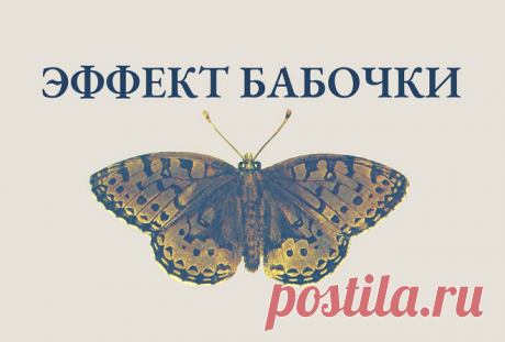 Эффект бабочки в психологии