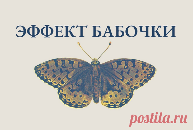 Эффект бабочки в психологии