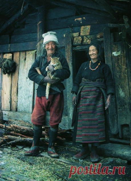 KARANLIĞI AYDINLATAN IŞIK » Blog Archive » Evin Sevinci Kedi