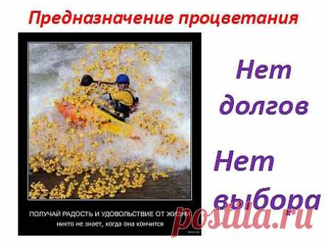Процветание несёт радость и наслаждение. Пусть вы живёте не на вилле, а в квартире. Путешествуете не самолётом, а поездом. Ездите не на иномарках, а на отечественных автомобилях. Ваше предназначение не в том,что бы выживать, а жить полной жизнью. Не жить в долг, от зарплаты, до зарплаты. Процветание заложено внутри нас, но проявляется только тогда, когда человек настроен и готов к этому.