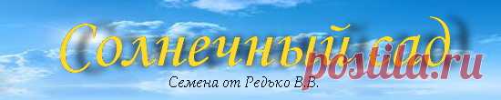 Новые томаты 2016-2017 — Семена редких сортов томатов