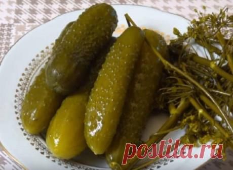 Огурцы квашенные на зиму без уксуса
Хрустящие, целенькие огурчики без стерилизации и уксуса. Такой способ консервации позволяет сохранить всю полезность огурцов, да и еще и при этом они получается невероятно вкусные. Я перепробовала множество рецептов, мне хотелось зимой ощущать полный и насыщенный вкус огурцов. И я его нашла, и теперь делюсь им с вами.
Ингредиенты:
На 3-х литровую банку:
Огурцы — не буду давать точный вес, берите средние плотные оругрчики и уложите в банку;
листья смородины, ви